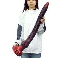 tentacledildos