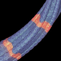 tentacledildos